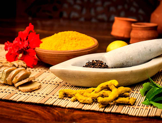 Doctors Ayurveda