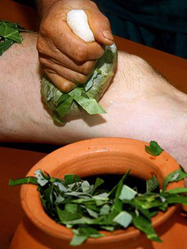 Doctors Ayurveda